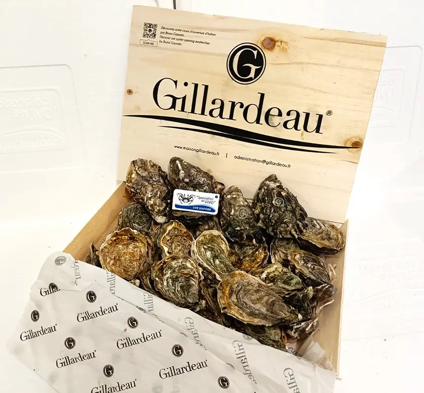 Special Concave Oyster “Gillardeau”