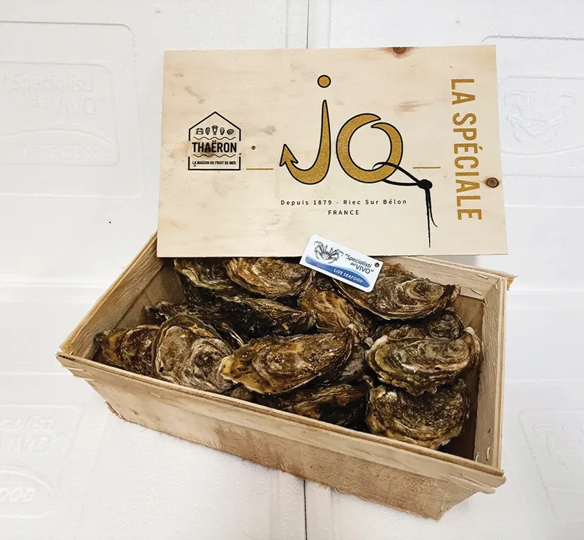 Ostrica Concava Speciale “JO”