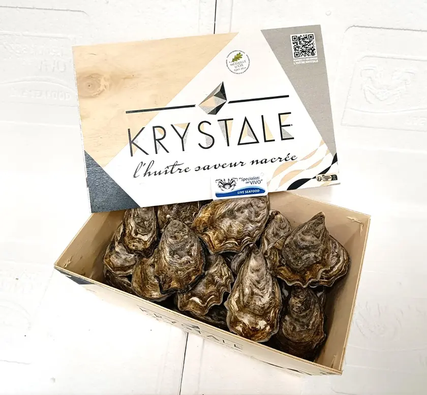 Special Concave Oyster “Krystale”