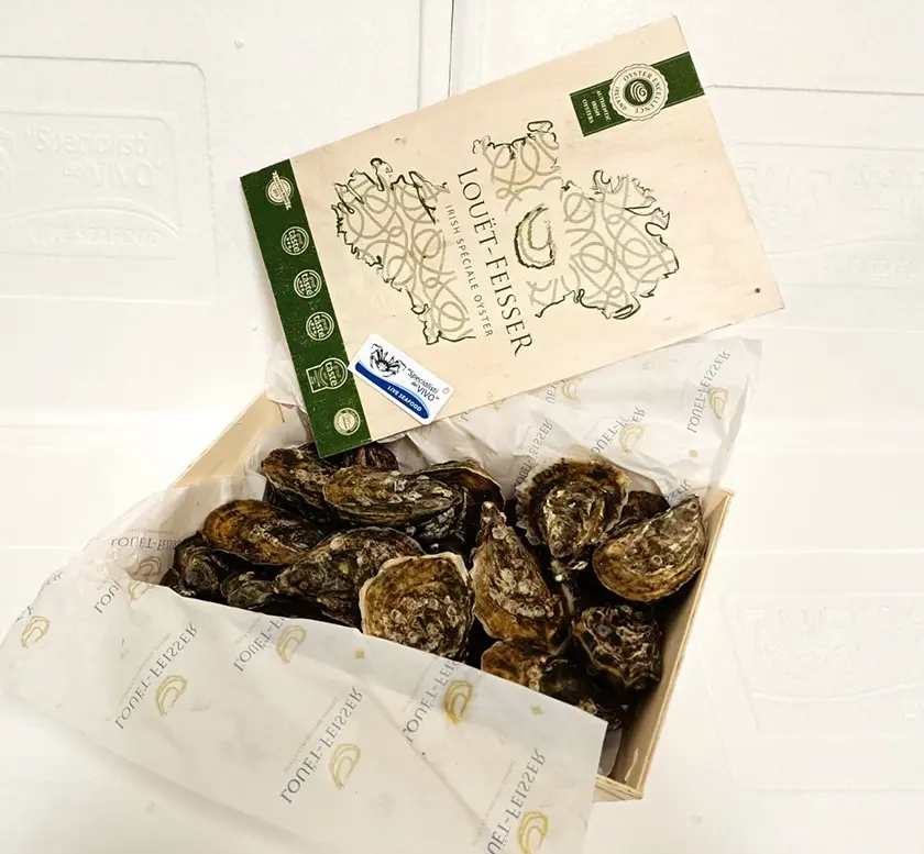 Special Concave Oyster “Louët Feisser”