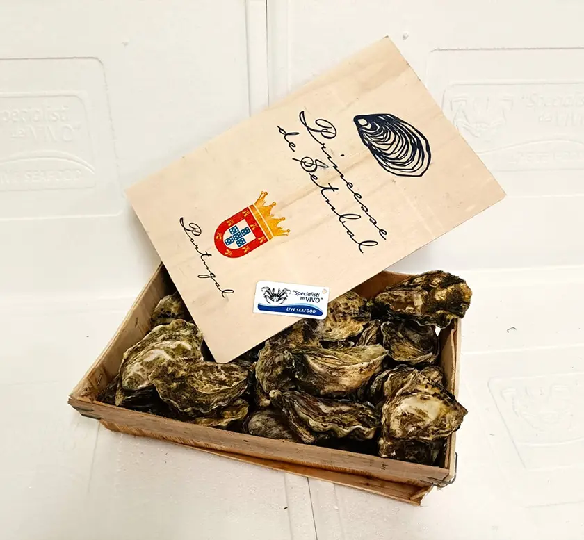 Special Concave Oyster “Princesa Di Setubal”