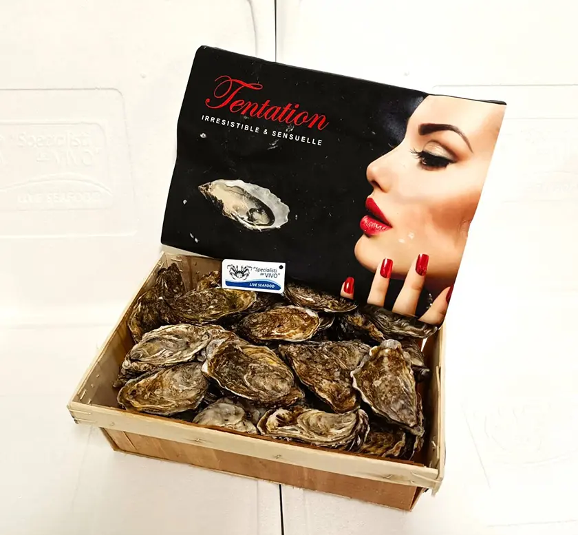 Special Concave Oyster “Tentation”