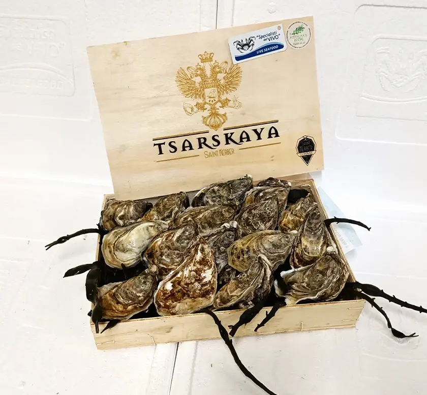 Special Concave Oyster “Tsarskaya”