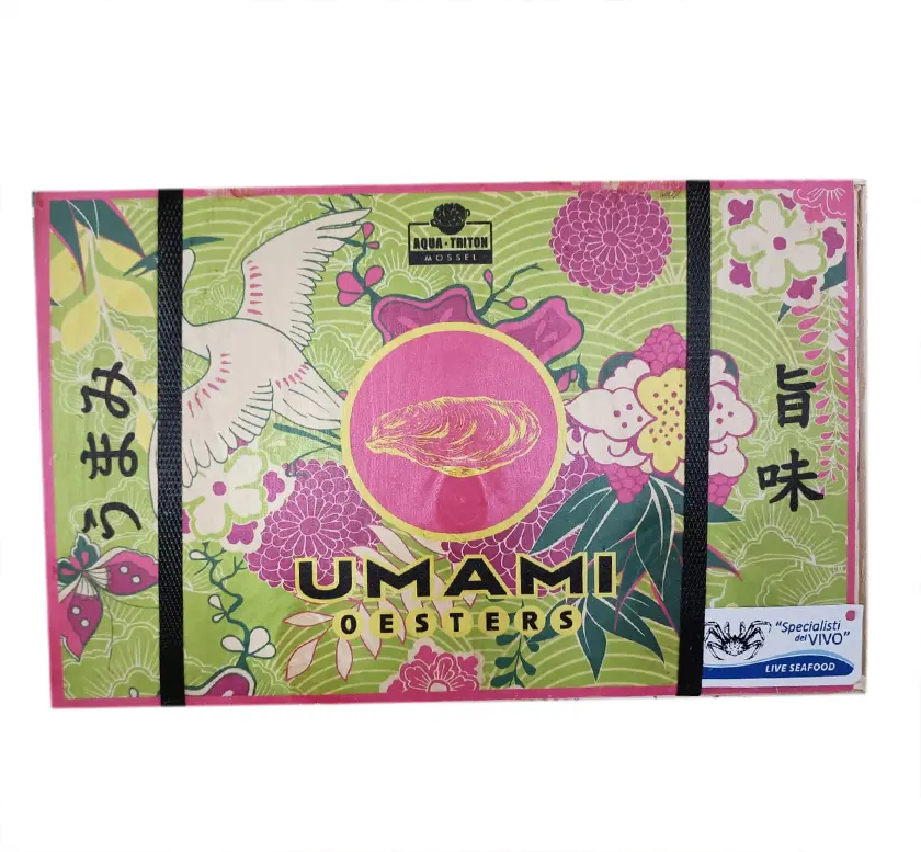 Special Concave Oyster “Umami”